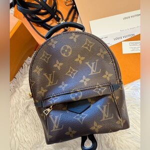 Louis Vuitton Palm Springs Mini